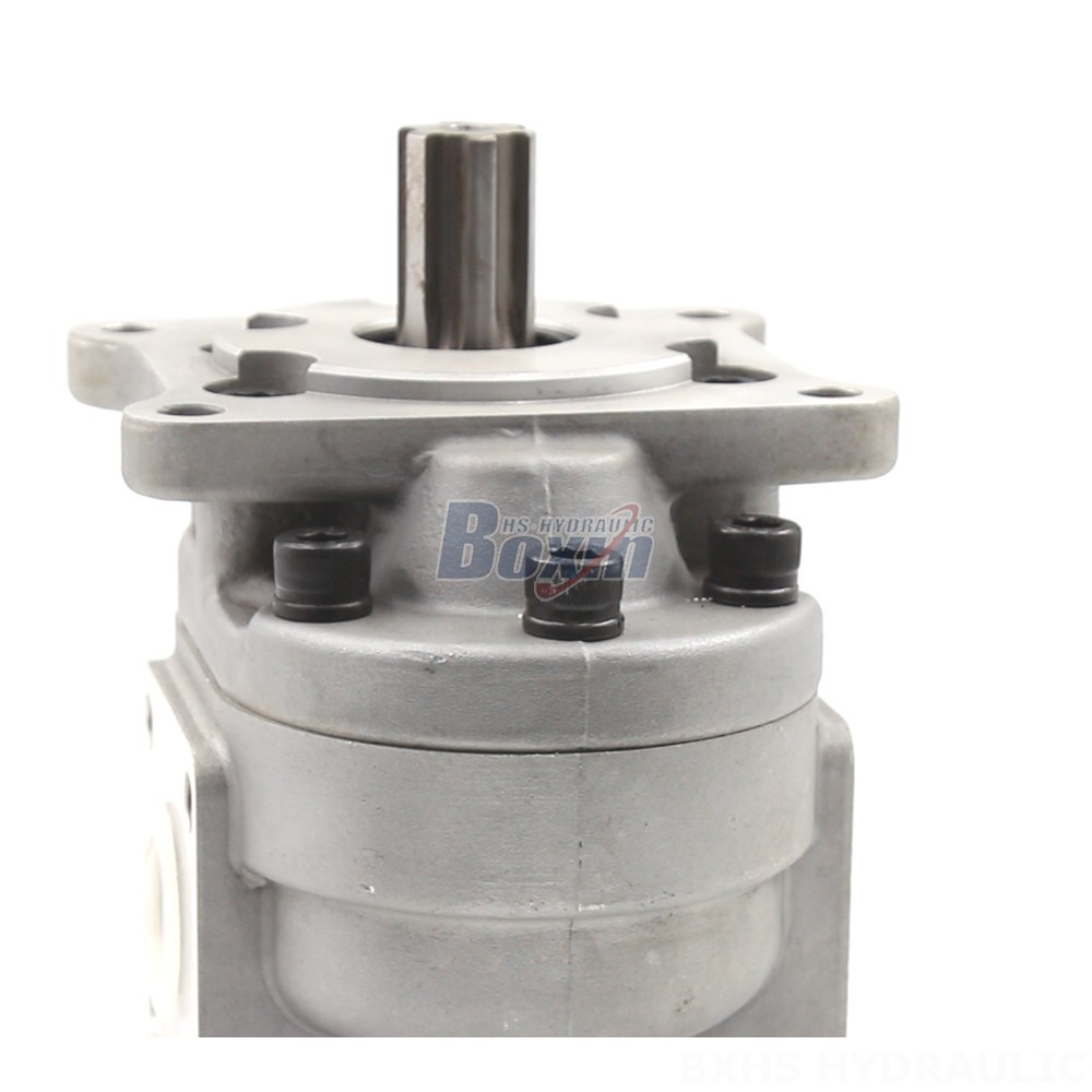 Hydraulic Hand Pump 50 cc/rev Gear Pump: CBHS-F550 | Factory Direct & Customizable detail image