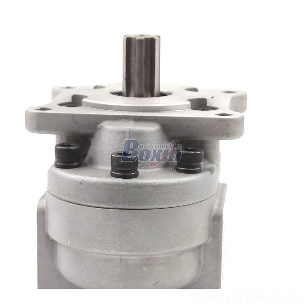 Aluminum Gear Pump Advanced Hydraulic Gear Pumps - CBHS-F550 Series | Wholesale & OEM detail image