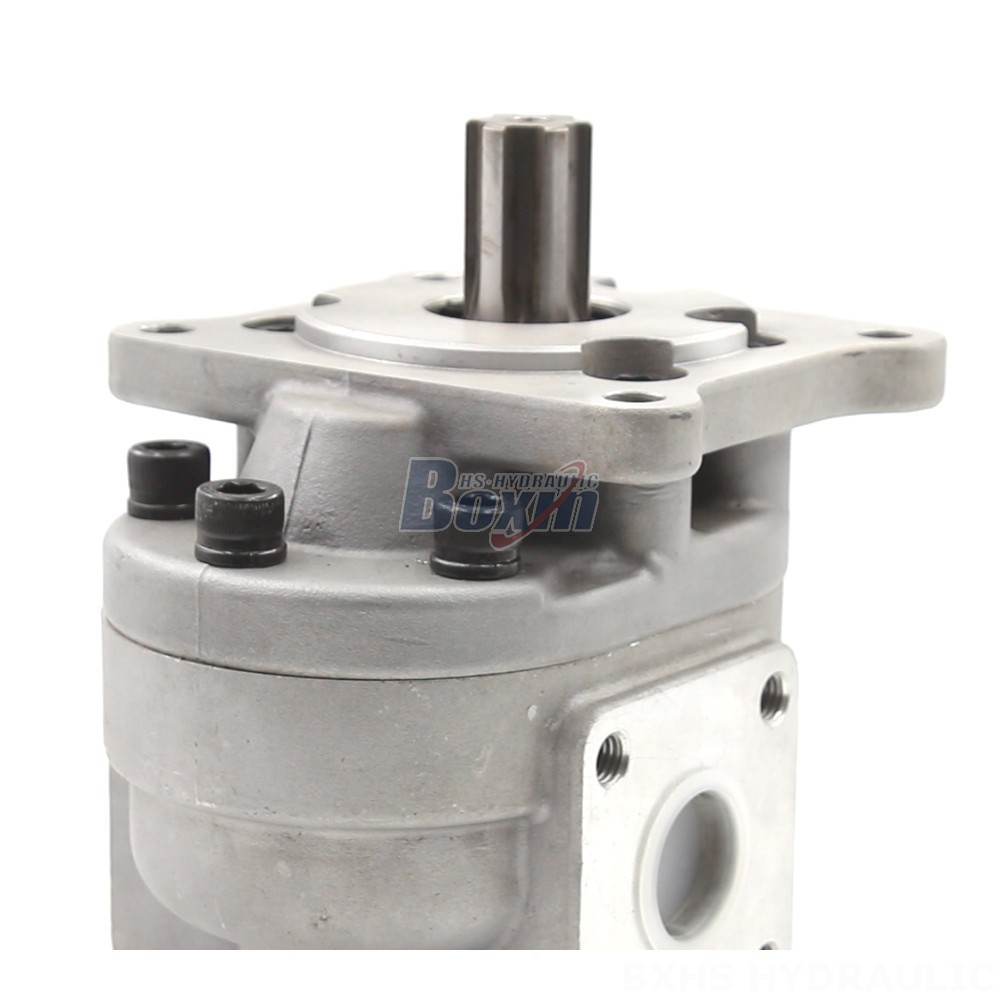 Hydraulic Hand Pump 50 cc/rev Gear Pump: CBHS-F550 | Factory Direct & Customizable detail image