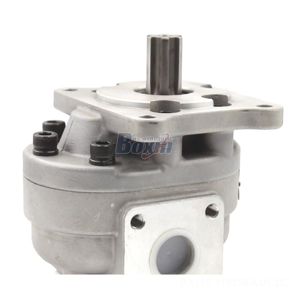 Oil Pump For Truck CBHS-F550 Gear Pump OEM/ODM: Tailored Solutions for Your Applications detail image