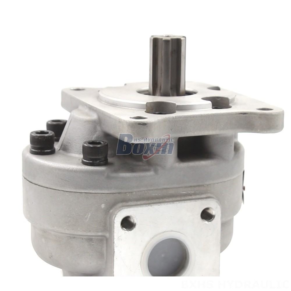 Internal Gear Pumps CBHS-F550 Hydraulic Gear Pump: Features, Applications & Benefits detail image