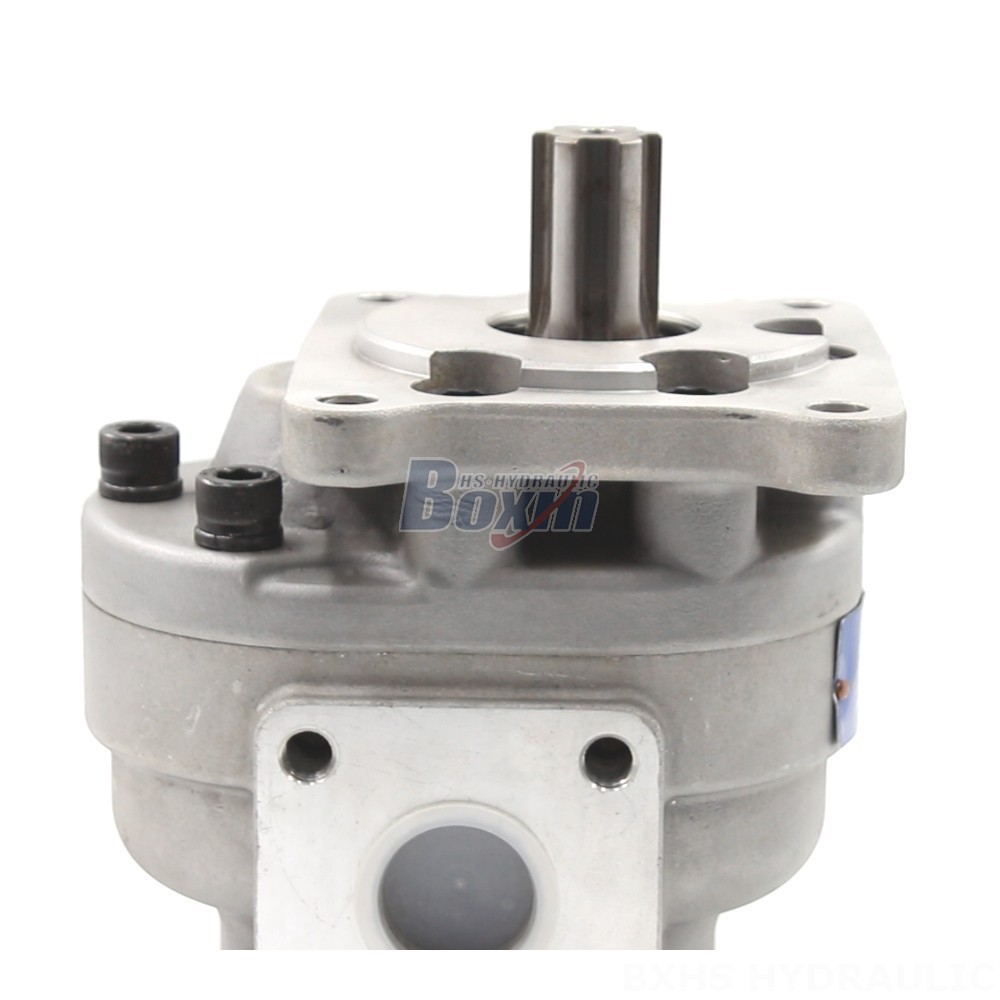 Pumps Hydraulic Manufacturer of CBHS-F550 Gear Pumps: Wholesale & Customization Available detail image
