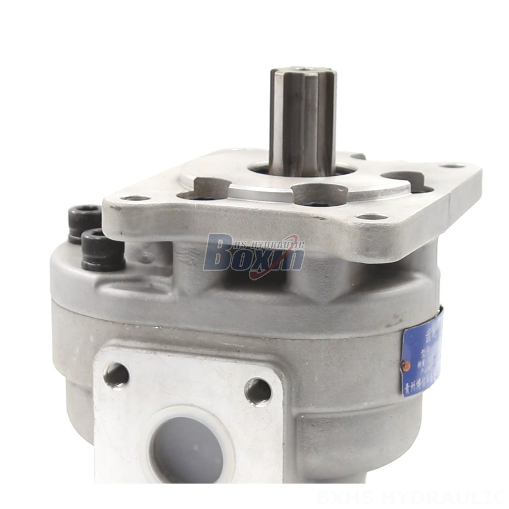 Oil Pump For Truck CBHS-F550 Gear Pump OEM/ODM: Tailored Solutions for Your Applications detail image