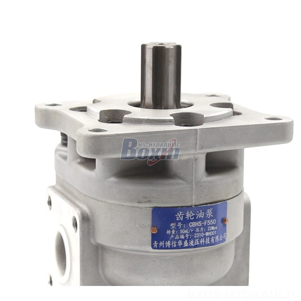 Oil Pump For Truck CBHS-F550 Gear Pump OEM/ODM: Tailored Solutions for Your Applications detail image