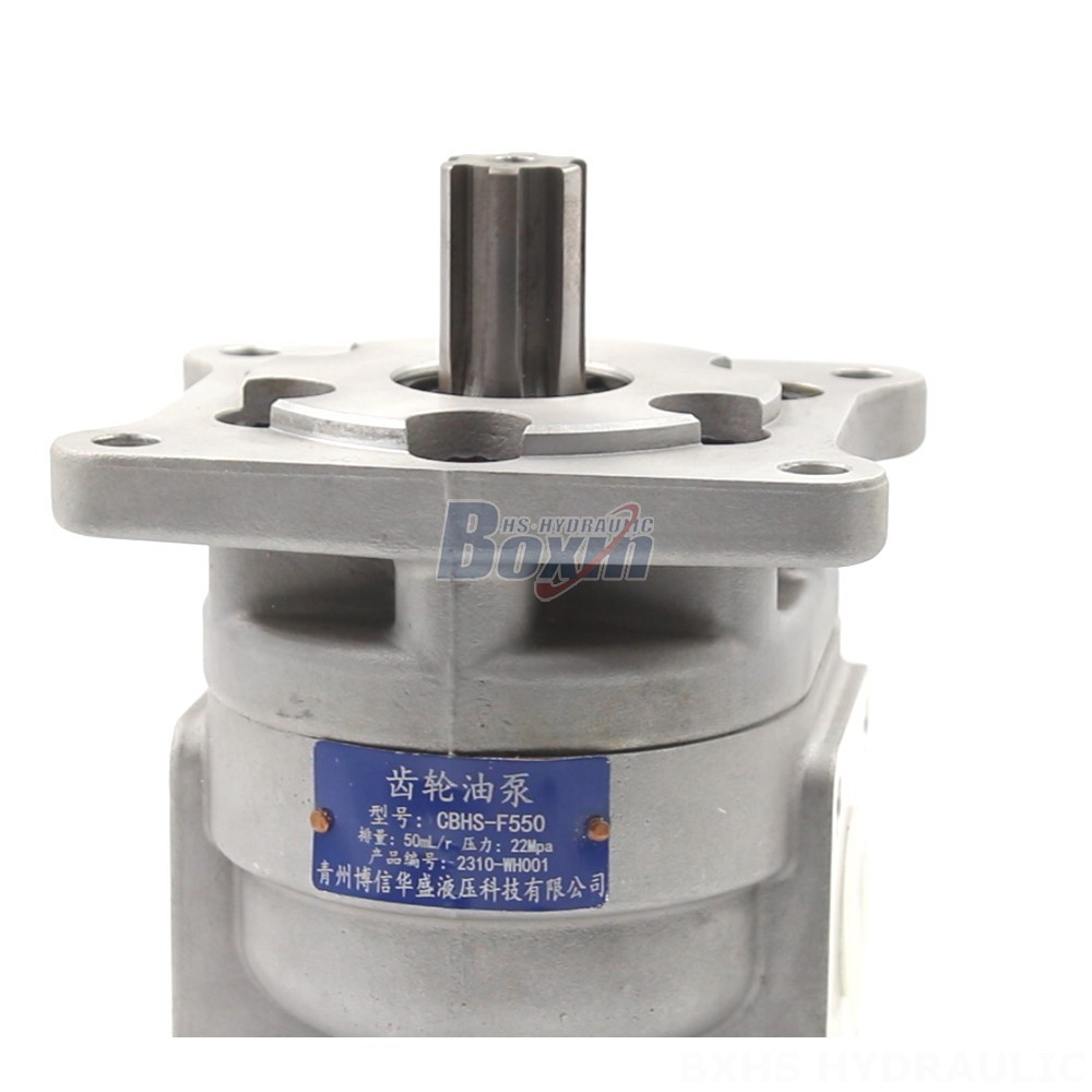 Pumps Hydraulic Manufacturer of CBHS-F550 Gear Pumps: Wholesale & Customization Available detail image