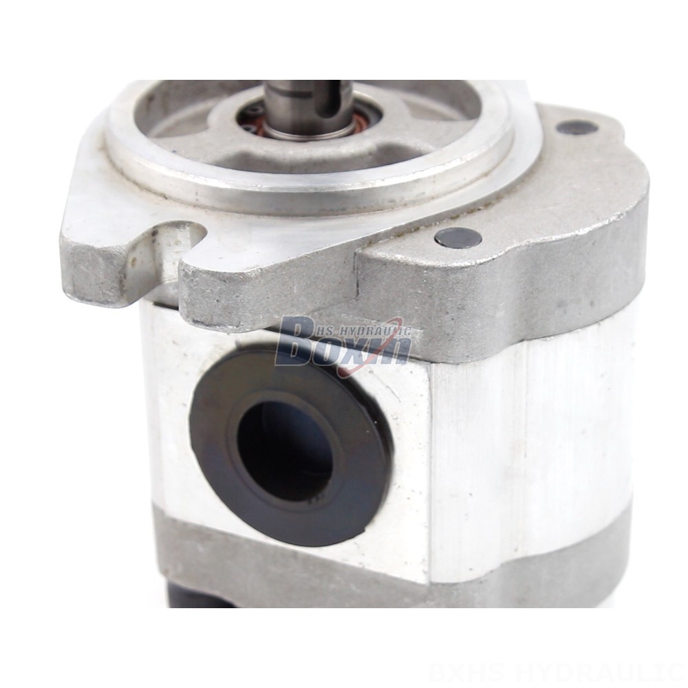 Double Gear Oil Pump Industrial 6 cc/rev Gear Pump | Reliable & Efficient detail image