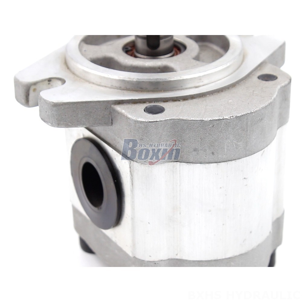 Triplex Plunger Pump Heavy Duty 6 cc/rev Hydraulic Gear Pump | Made in China detail image