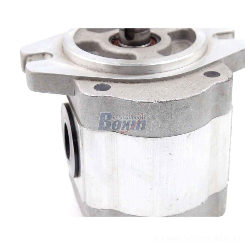 Double Gear Oil Pump Industrial 6 cc/rev Gear Pump | Reliable & Efficient detail image