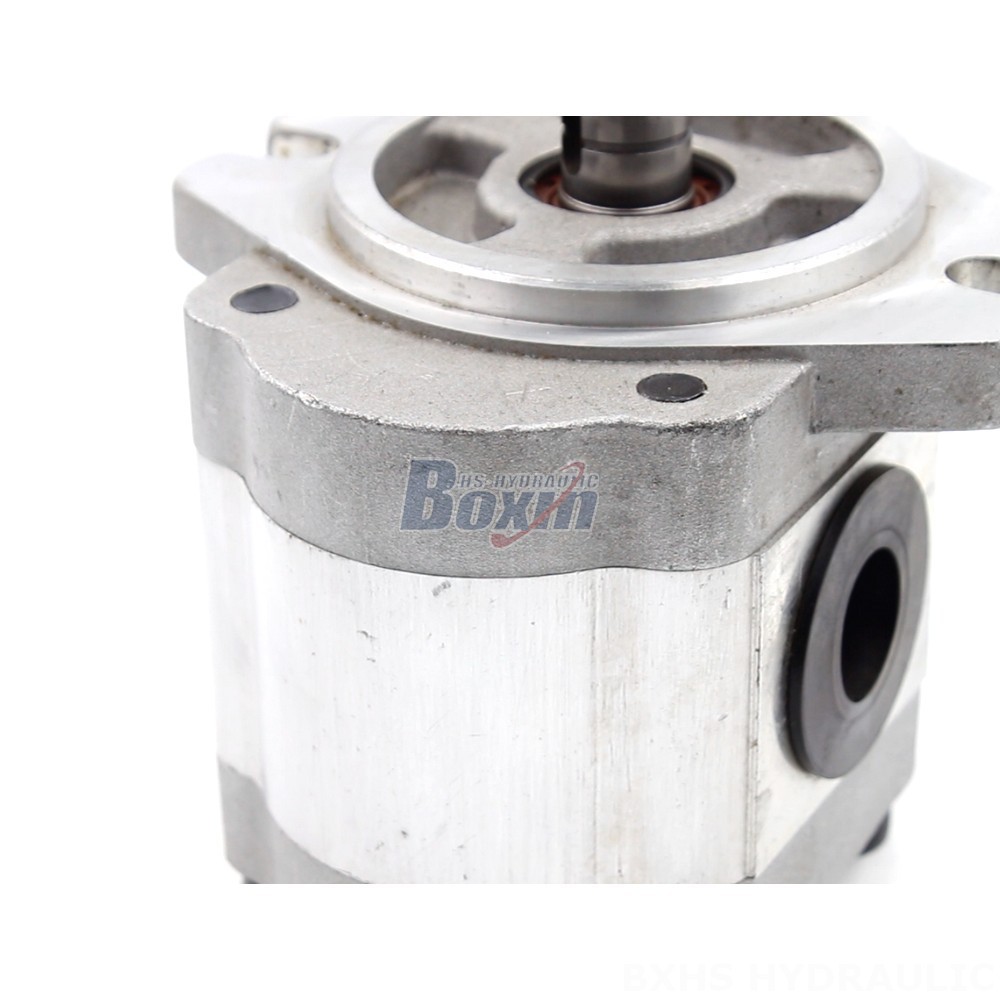 Motor Pump Direct from Manufacturer: 6 cc/rev Hydraulic Gear Pump for Industrial Applications detail image