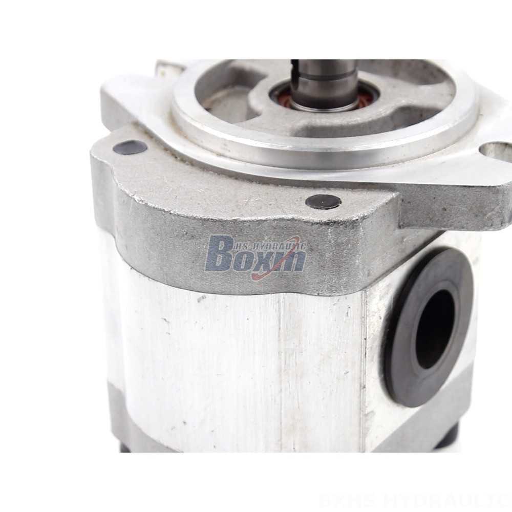 Double Gear Oil Pump Industrial 6 cc/rev Gear Pump | Reliable & Efficient detail image
