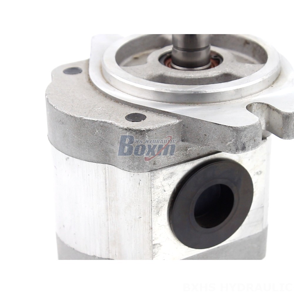 Bi Rotational Pump Customizable 6 cc/rev Hydraulic Gear Pump: OEM & ODM Manufacturing detail image