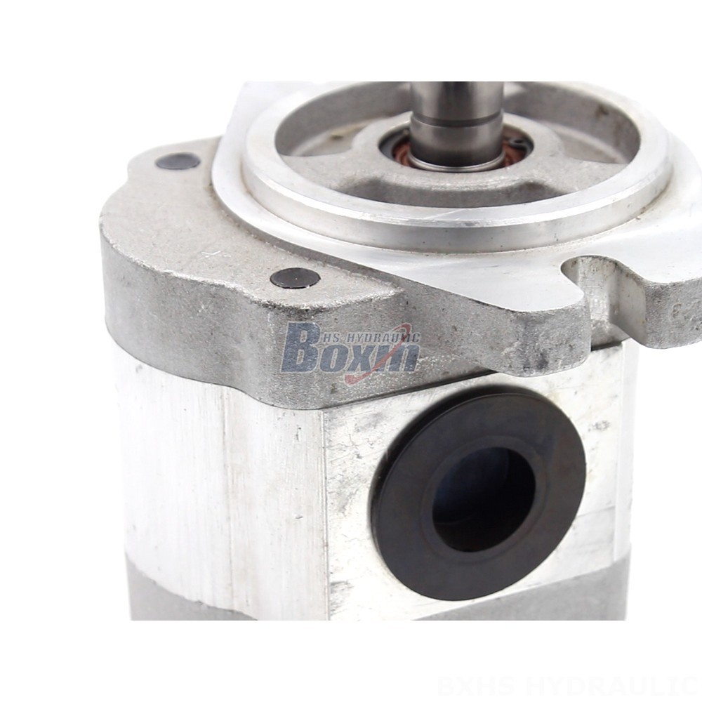Triplex Plunger Pump Heavy Duty 6 cc/rev Hydraulic Gear Pump | Made in China detail image
