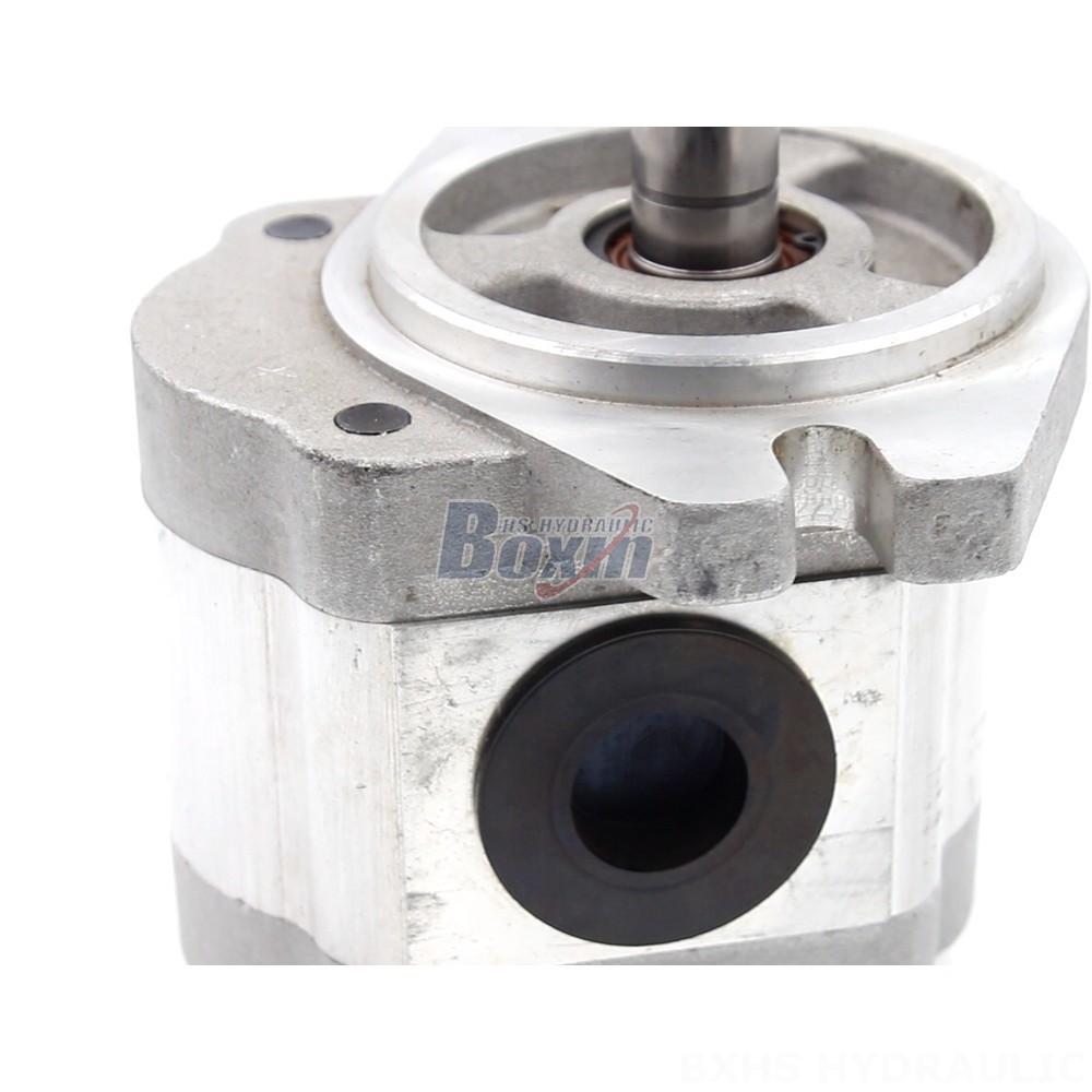 Motor Pump Direct from Manufacturer: 6 cc/rev Hydraulic Gear Pump for Industrial Applications detail image