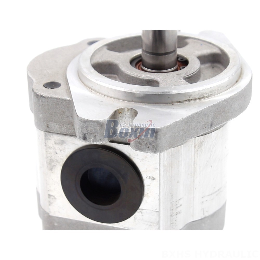 Bi Rotational Pump Customizable 6 cc/rev Hydraulic Gear Pump: OEM & ODM Manufacturing detail image