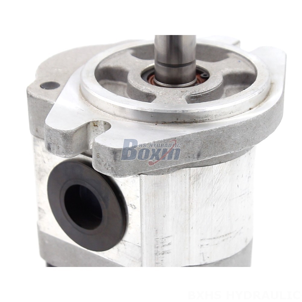 Motor Pump Direct from Manufacturer: 6 cc/rev Hydraulic Gear Pump for Industrial Applications detail image