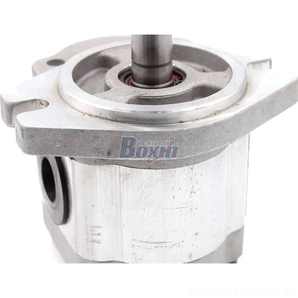 Bi Rotational Pump Customizable 6 cc/rev Hydraulic Gear Pump: OEM & ODM Manufacturing detail image