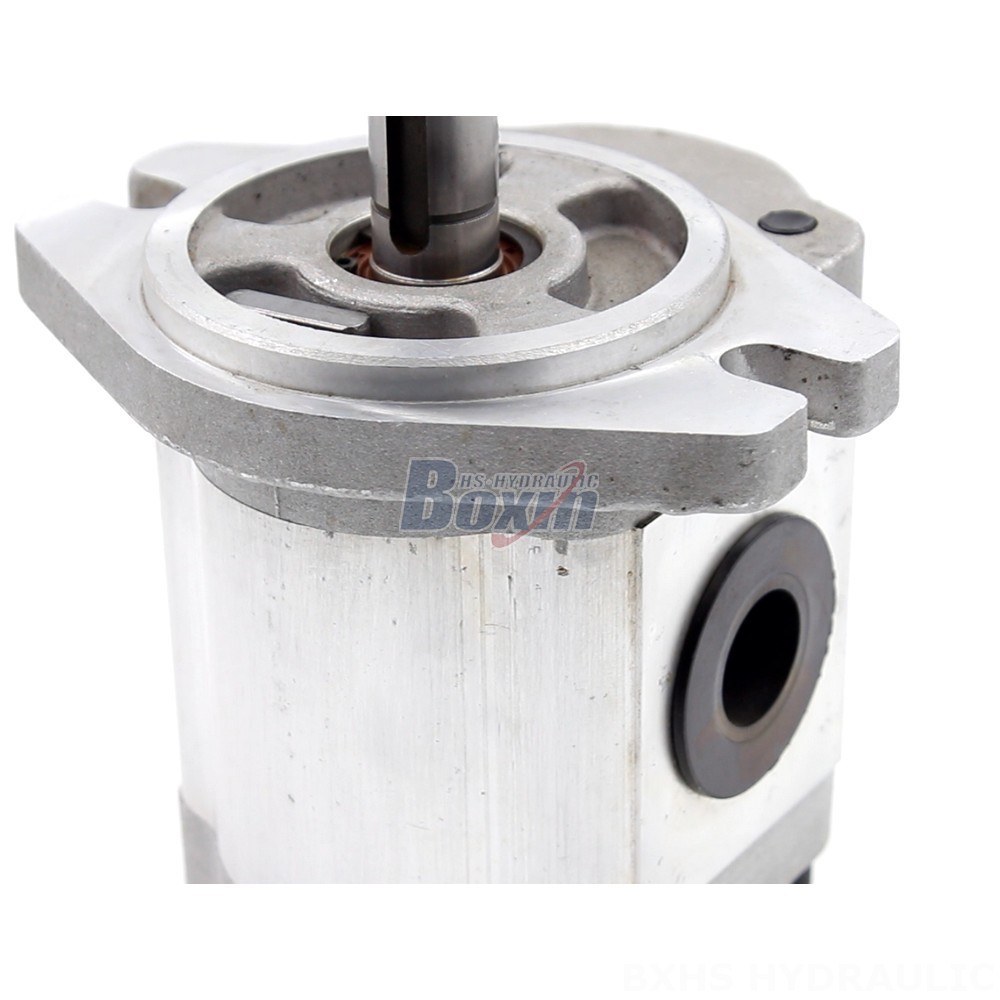 Melt Gear Pumps OEM/ODM 16 cc/rev Hydraulic Gear Pumps: Customized Solutions & Bulk Orders detail image