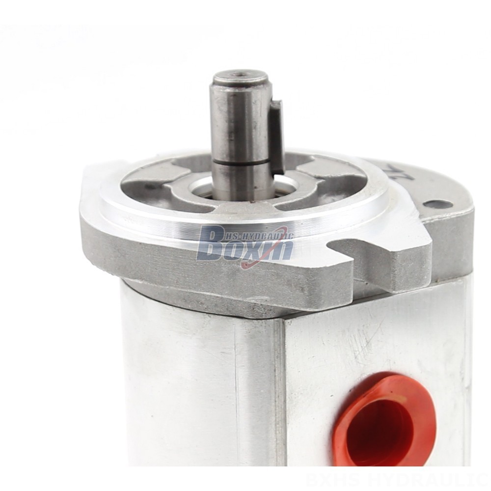Oil Pumps Manufacturer of CBHS-FL304 Hydraulic Gear Pumps: Wholesale & Customization Available detail image