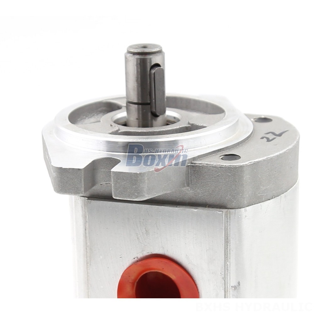 Oil Pumps Manufacturer of CBHS-FL304 Hydraulic Gear Pumps: Wholesale & Customization Available detail image