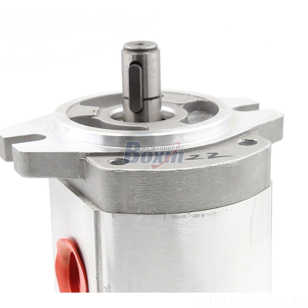 Oil Pumps Manufacturer of CBHS-FL304 Hydraulic Gear Pumps: Wholesale & Customization Available detail image
