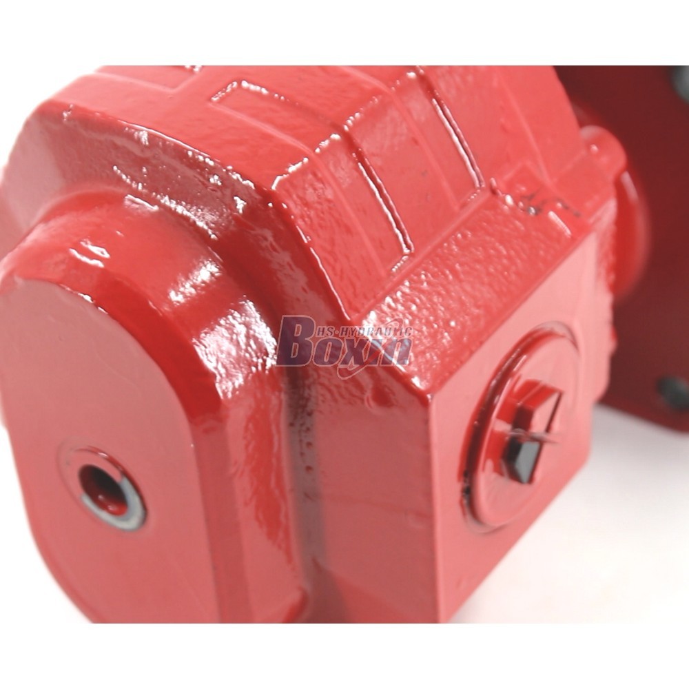 CBHS3100 100 cc/rev Hydraulic Gear Pump Unit Specification detail image