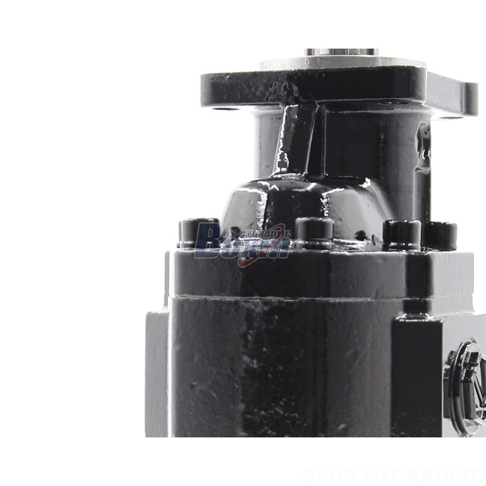 Hydraulic Pumps Industrial Hydraulics: Explore the Possibilities with CBHST1-ISO-63 Pumps detail image