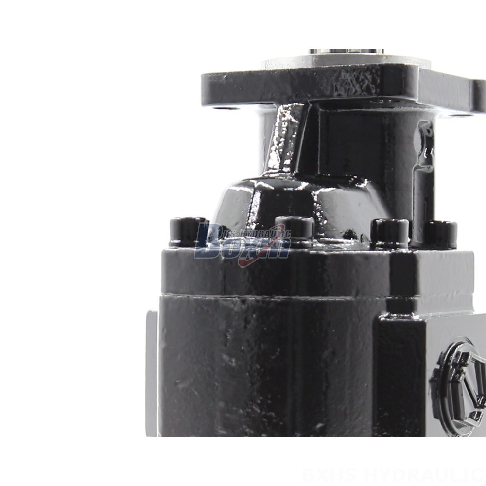 Tractor Gear Pump CBHST1-ISO-63 Hydraulic Gear Pump: Advanced Performance, Global Reach detail image
