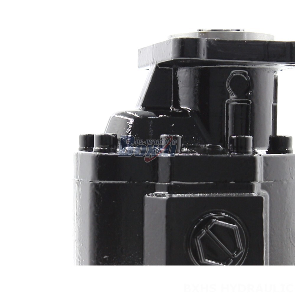 Hydraulic Pumps Industrial Hydraulics: Explore the Possibilities with CBHST1-ISO-63 Pumps detail image