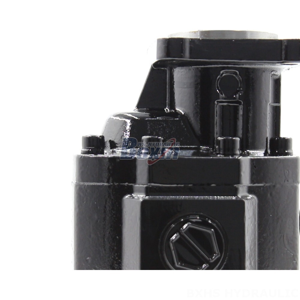 Gear Oil Pump Custom Hydraulic Gear Pumps CBHST1-ISO-63: Engineered to Your Specifications detail image