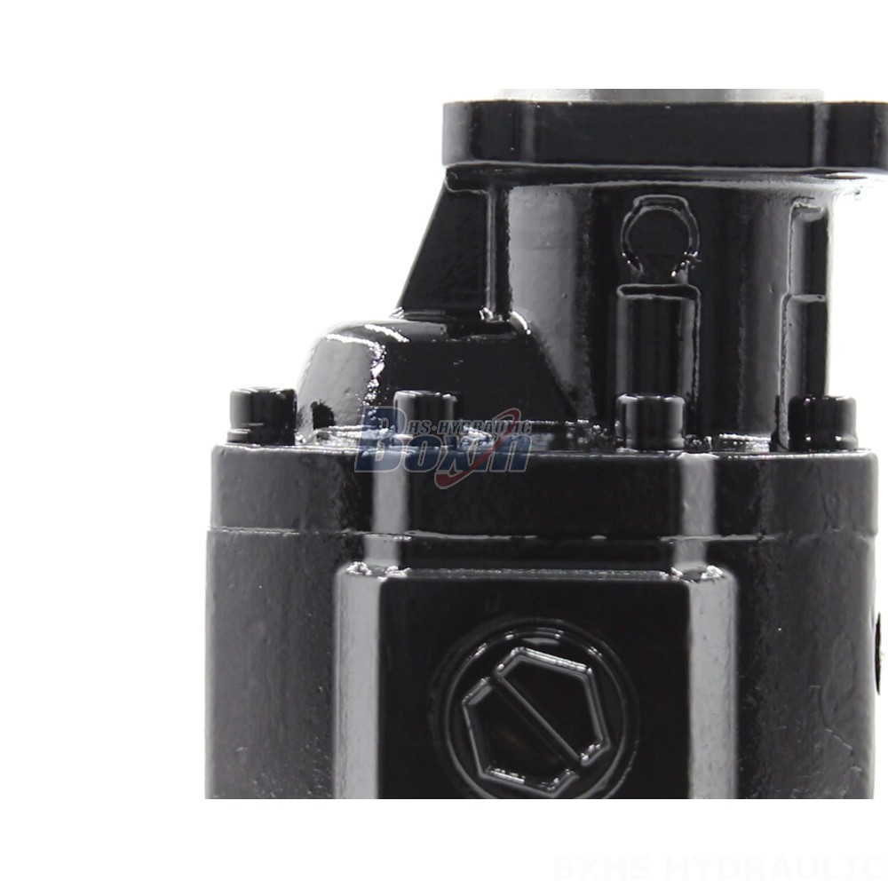 High Pressure Pump Hydraulic Gear Pumps CBHST1-ISO-63: Quality, Efficiency, Reliability detail image