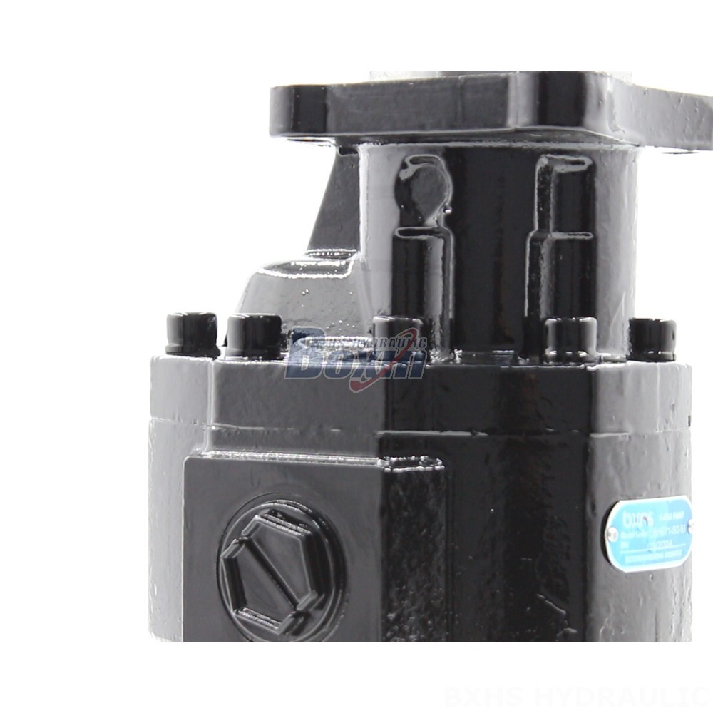 Hydraulic Pumps Industrial Hydraulics: Explore the Possibilities with CBHST1-ISO-63 Pumps detail image