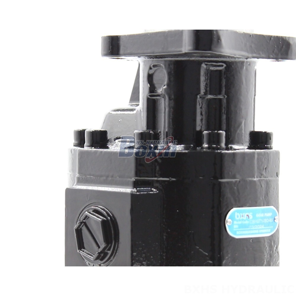 Gear Oil Pump Custom Hydraulic Gear Pumps CBHST1-ISO-63: Engineered to Your Specifications detail image