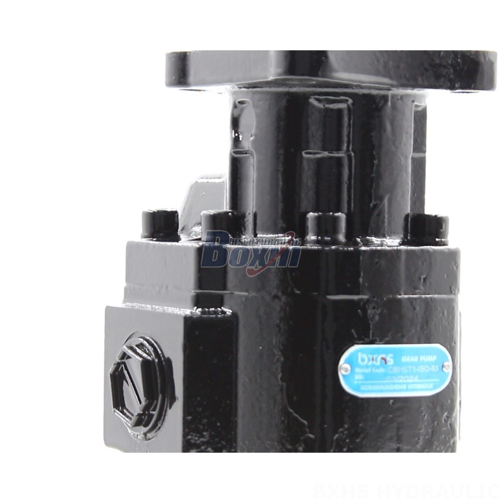 Piston Pump Part Factory Prices and Exceptional Quality: Choose CBHST1-ISO-63 Pumps Today detail image