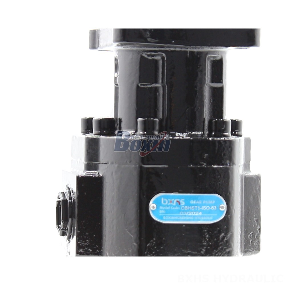 Hydrolic Pump Bespoke Hydraulic Solutions: Leverage Our Expertise for CBHST1-ISO-63 Pumps detail image