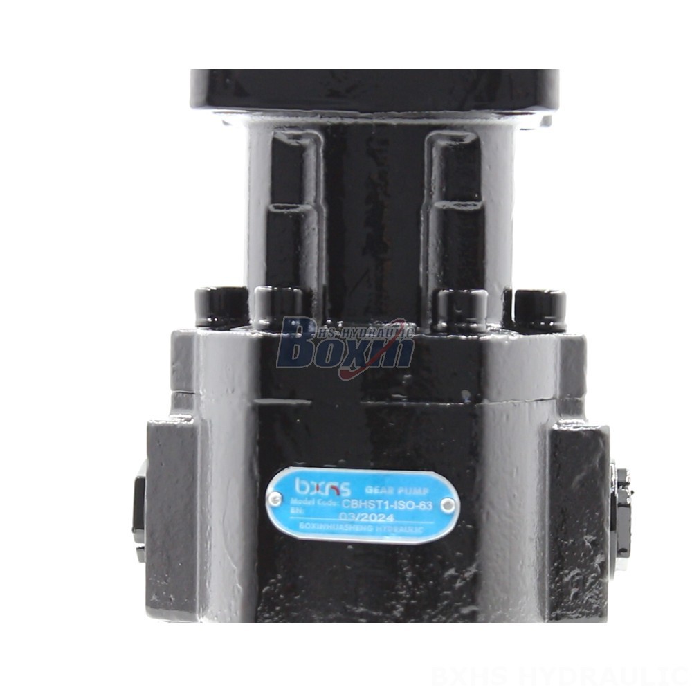 Gear Oil Pump Custom Hydraulic Gear Pumps CBHST1-ISO-63: Engineered to Your Specifications detail image