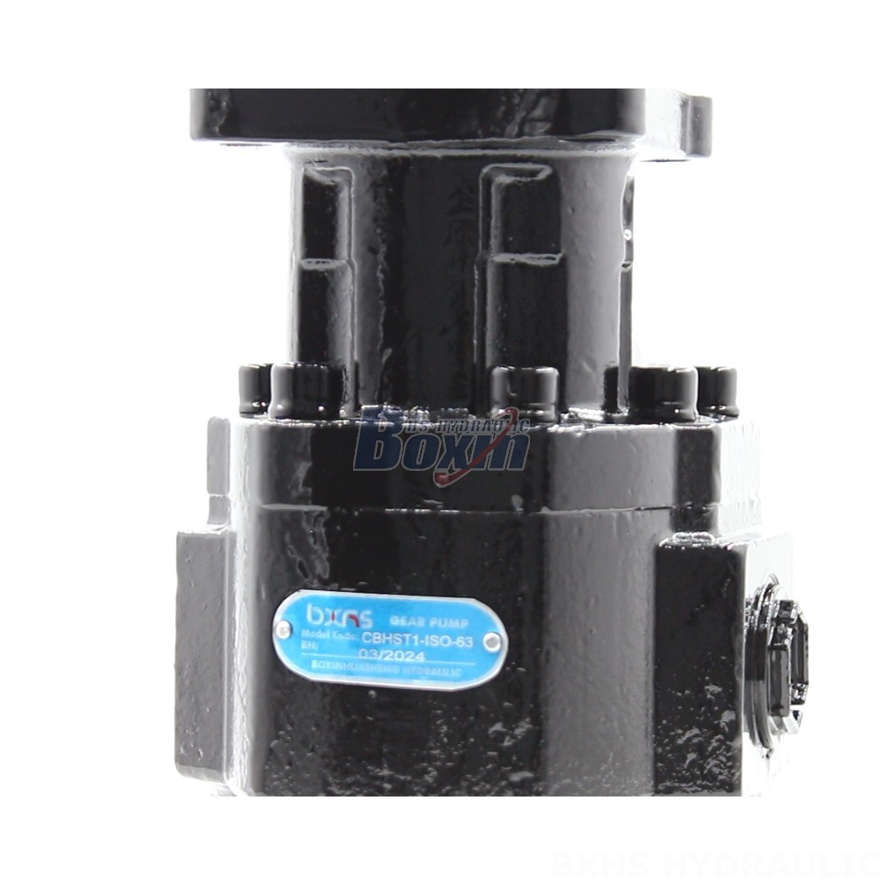Piston Pump Part Factory Prices and Exceptional Quality: Choose CBHST1-ISO-63 Pumps Today detail image