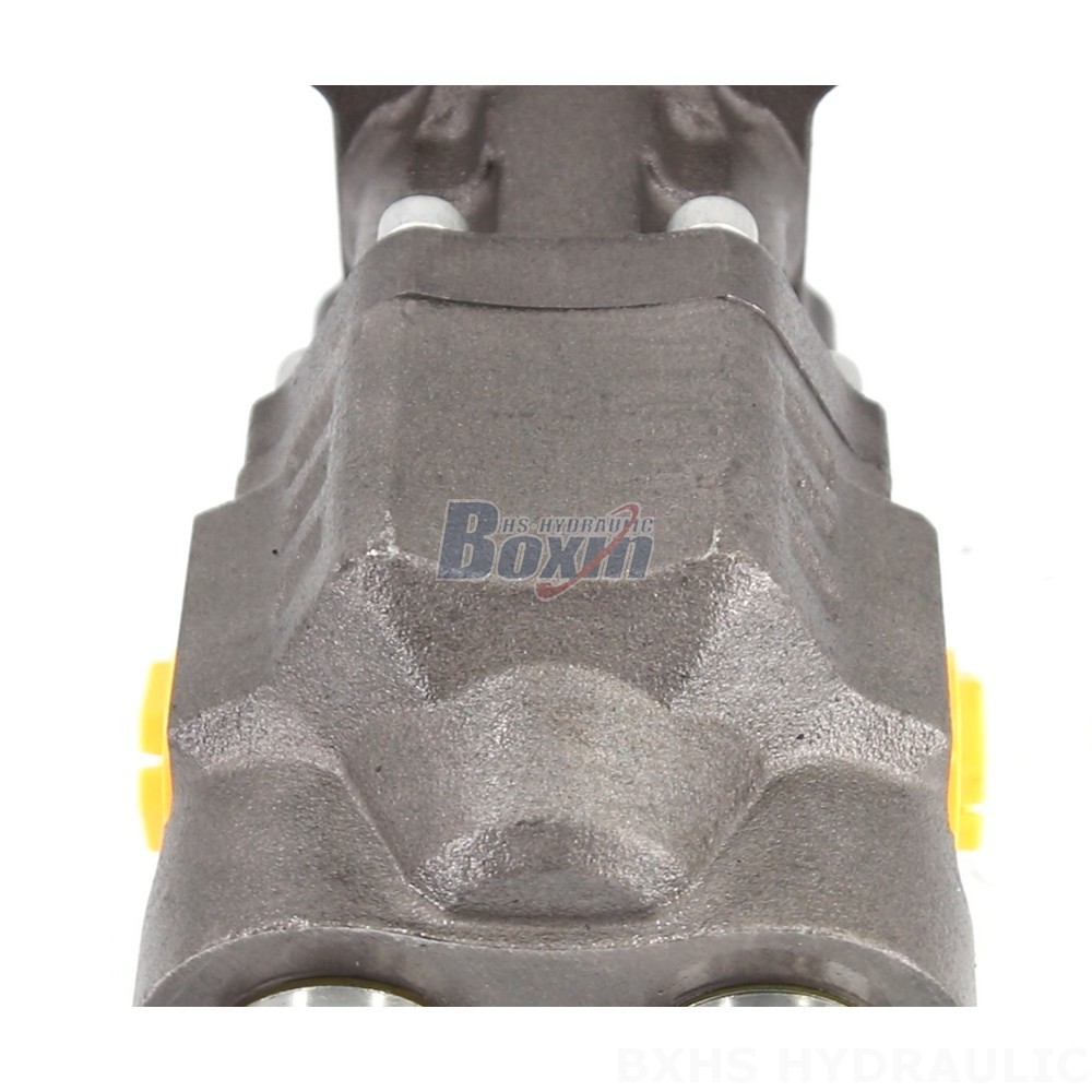 Reliable Hydraulic Gear Pump CBHW-ISO-100-Y for Heavy Duty Applications detail image