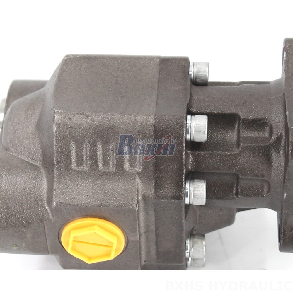 Industrial Hydraulic Gear Pumps CBHW-ISO-100-Y – Factory Manufactured & Sold detail image