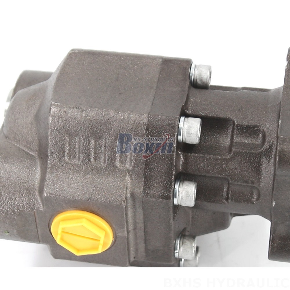 Reliable Hydraulic Gear Pump CBHW-ISO-100-Y for Heavy Duty Applications detail image