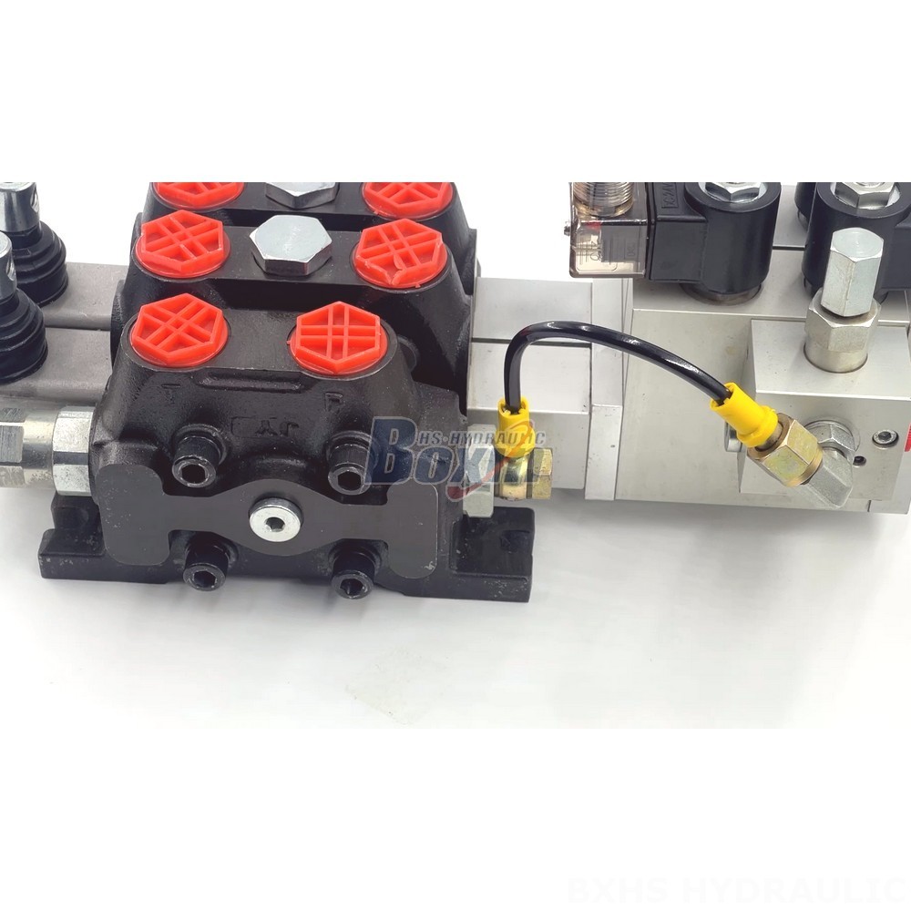 DCV100 Electro-hydraulic 2 Spool Sectional Directional Valve | Manufacturer and Global Supplier detail image