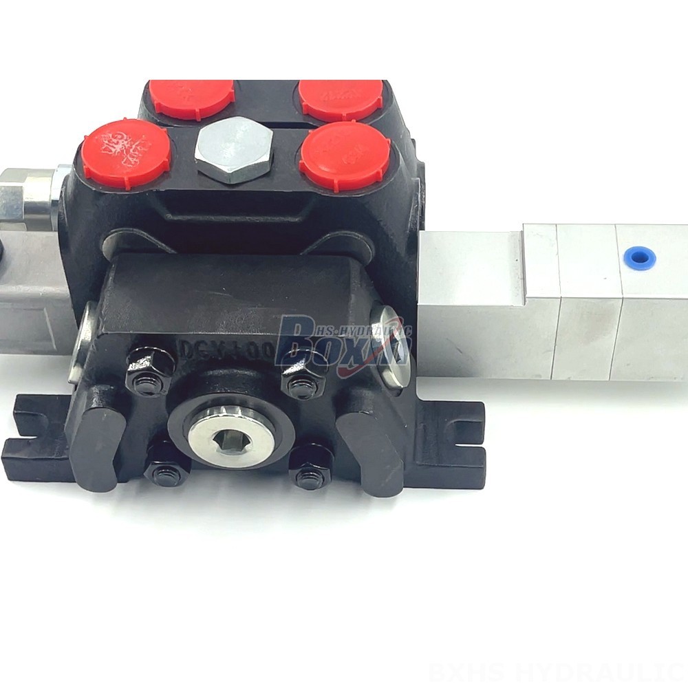Hydraulic Inline Check Valve High-Performance DCV100 Valve for Demanding Pneumatic Applications detail image
