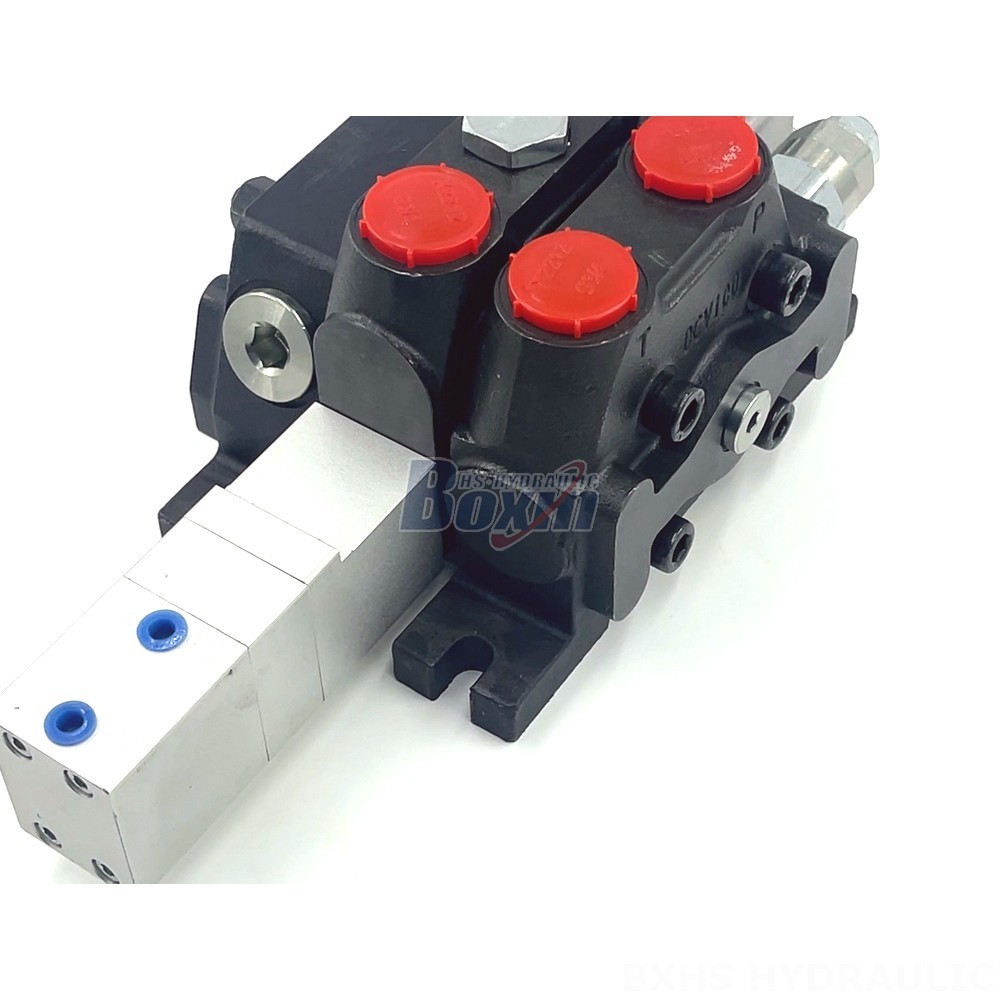 Hydraulic Check Valve Source Directly & Save:  DCV100 Pneumatic Valves from the Manufacturer detail image