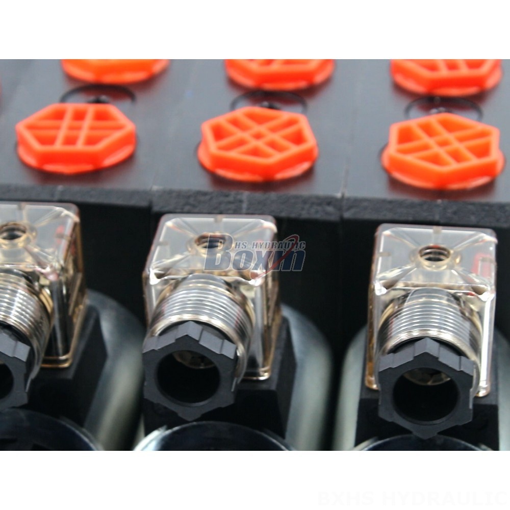 Directional Valve Swhg03 OEM Solutions: Private Label Manufacturing for DCV58 Solenoid Valves detail image