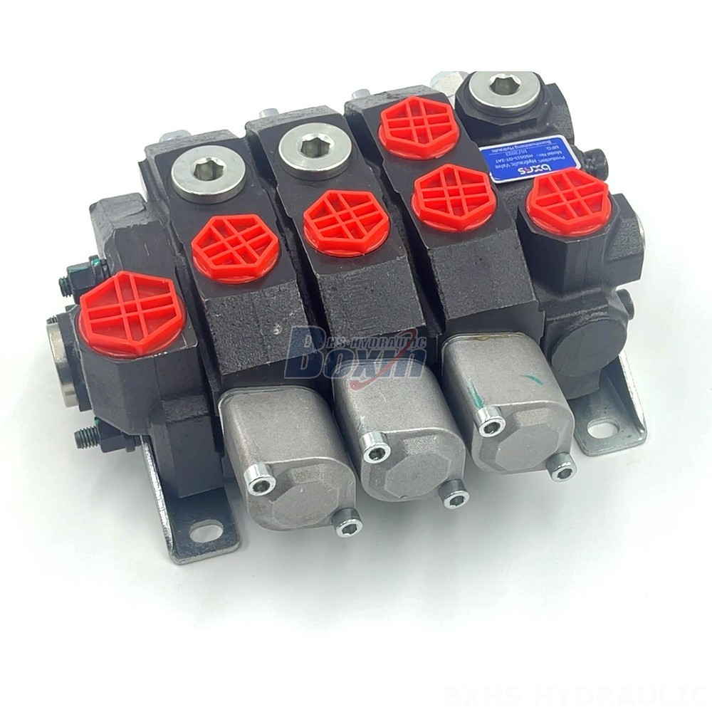 Hydraulic Directions Hydraulic Valve Solutions: Manual 3 Spool Monoblock Directional Valves detail image