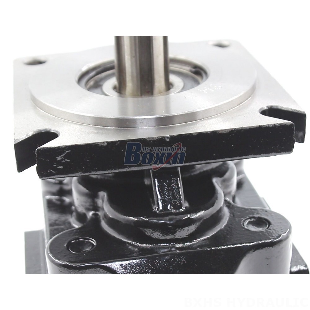 JHP2063 63 cc/rev Hydraulic Gear Pump: OEM & ODM Services Available detail image