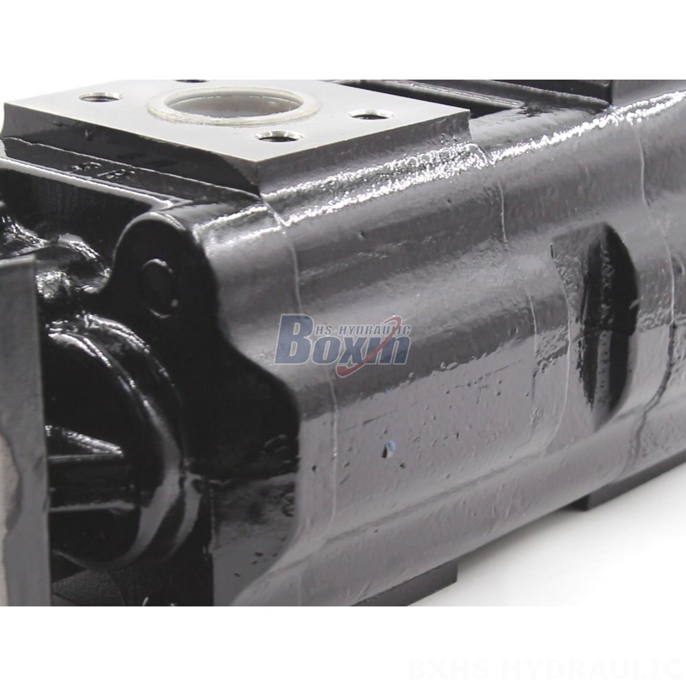 JHP2080-2080-1016 80 cc/rev Hydraulic Gear Pump: OEM & ODM Services Available detail image