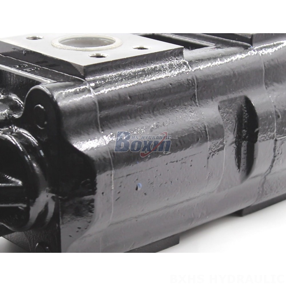 Buy JHP2080-2080-1016 80 cc/rev Hydraulic Gear Pumps Directly from the Manufacturer detail image