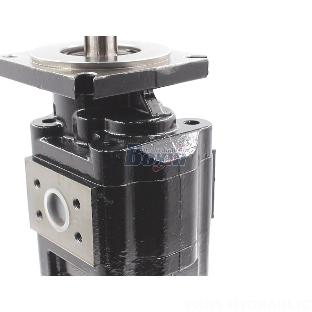 JHP2080-2080 Hydraulic Gear Pump: OEM & ODM Services Available detail image