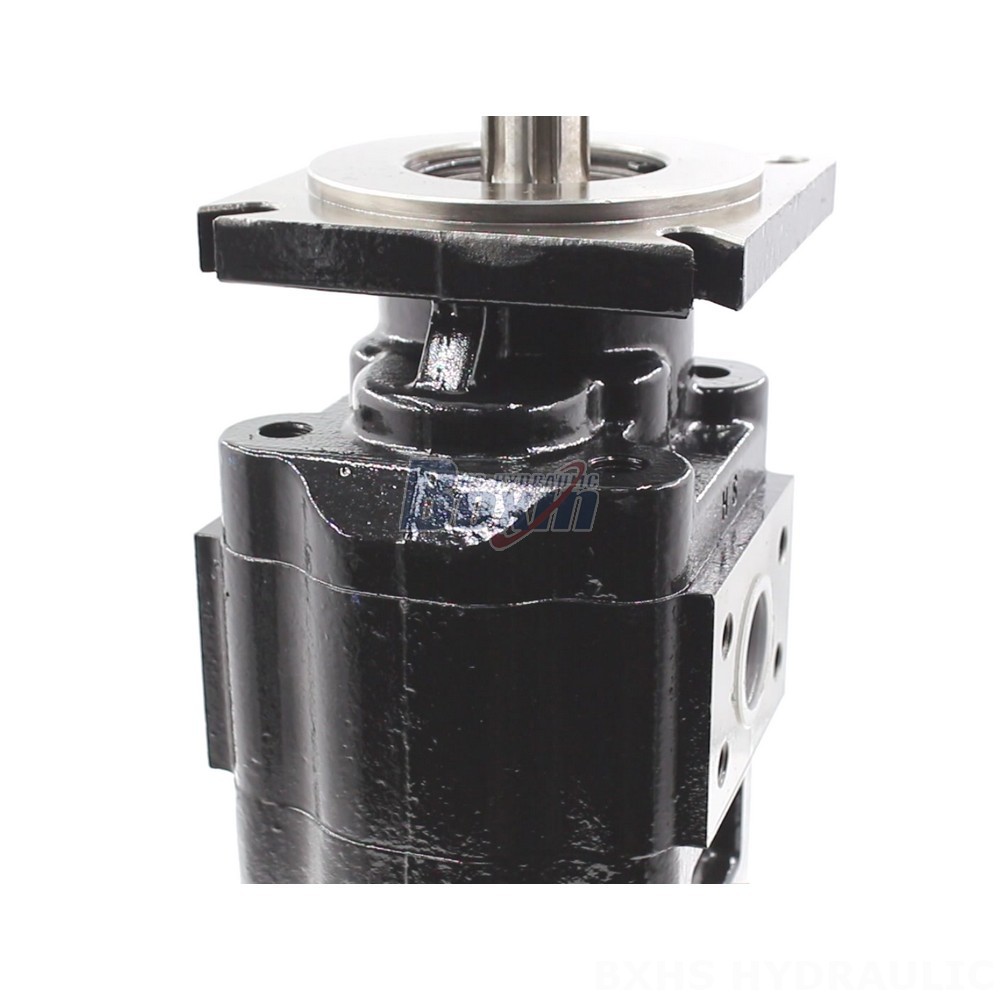 Partnership Opportunities: JHP2080-2080 Hydraulic Gear Pump Distribution detail image