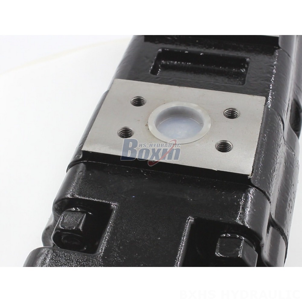 100 cc/rev Hydraulic Gear Pump JHP2100-2080-1016 | Global Supplier detail image